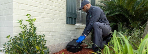 Cura Termite and Pest Control image
