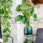 Photo n°2 de l'avis de Ch.u fait le 18/06/2022 à 11:17 sur le  Kropkå à Hamburg