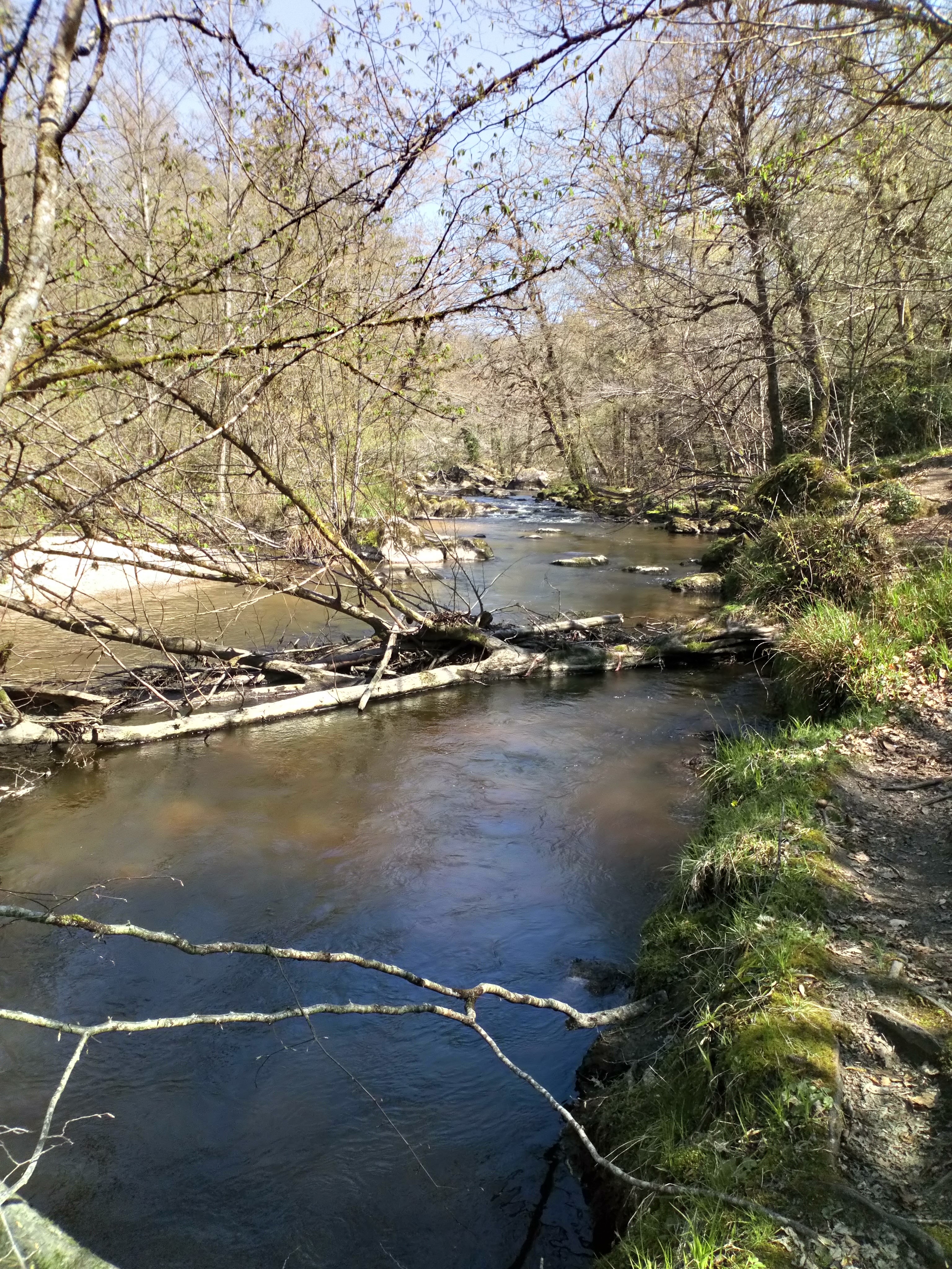 Photo n° 10 de l'avis de jessycloe95. fait le 12/04/2019 à 14:22