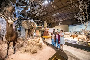 Anniston Museum of Natural History image