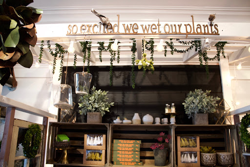 Dancing Elephant, Inc., 2006 San Marco Blvd, Jacksonville, FL 32207, USA, 