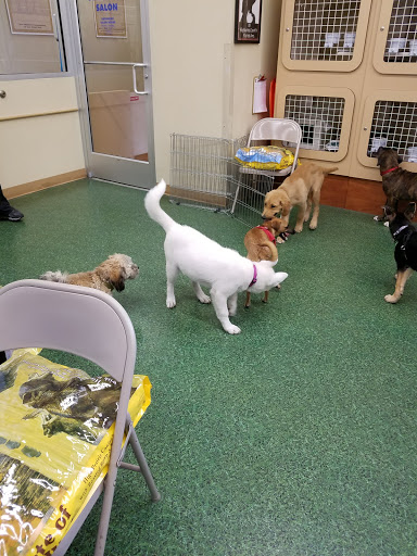 Pet Supply Store «Petco Animal Supplies», reviews and photos, 1704 US Hwy 27 S, Sebring, FL 33870, USA