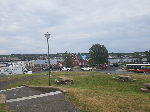 Cruise Agency «Capt. Bill & Sons Whale Watch», reviews and photos, 24 Harbor Loop, Gloucester, MA 01930, USA