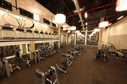 Push Fitness Club of College Point - 132-15A 14th Ave, Queens, NY 11356
