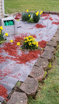 Partners Landscaping LLC - Photo 3 - Car repair in , Aurora