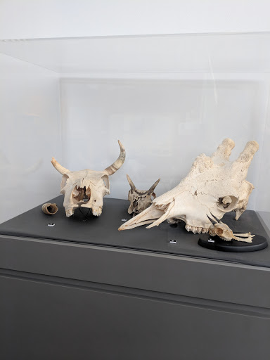 Museum «Museum of the Earth», reviews and photos, 1259 Trumansburg Rd, Ithaca, NY 14850, USA