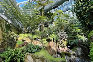 Forsgate Conservatory image