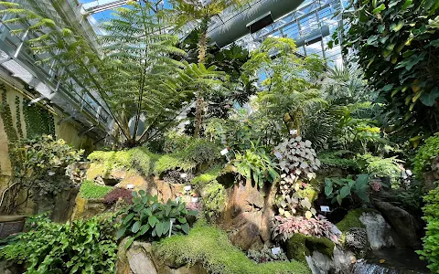 Forsgate Conservatory image