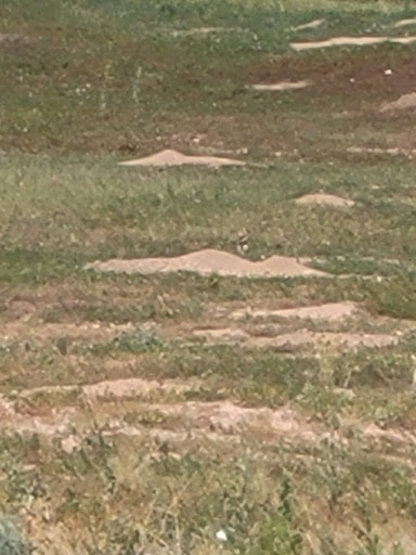 Park «South Platte Park and Carson Nature Center», reviews and photos, 3000 W Carson Dr, Littleton, CO 80120, USA