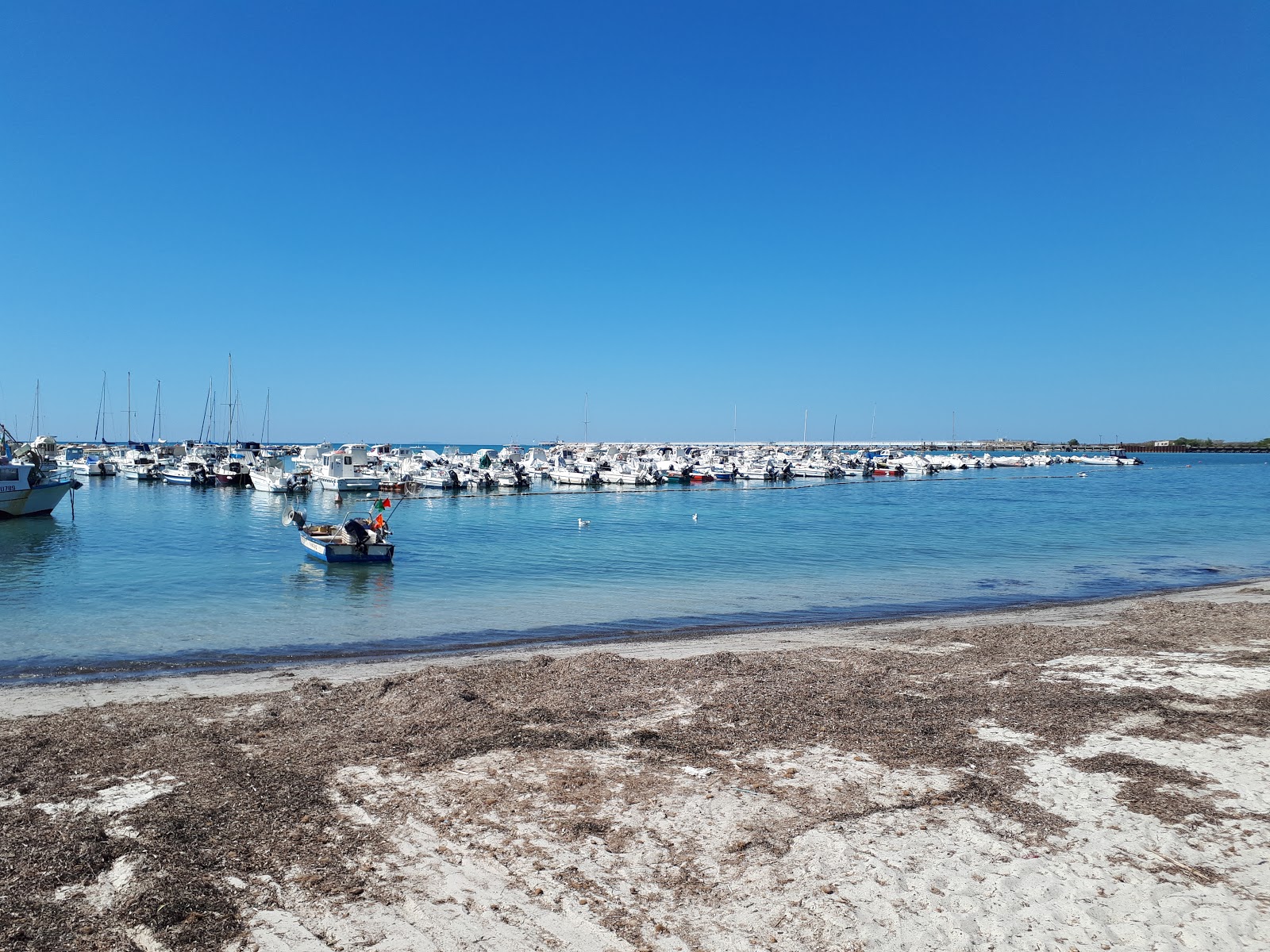 Spiaggia Di Domani的照片 带有蓝色的水表面