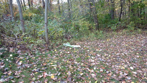 Roofing Contractor «Mr. Roof of Grand Rapids», reviews and photos