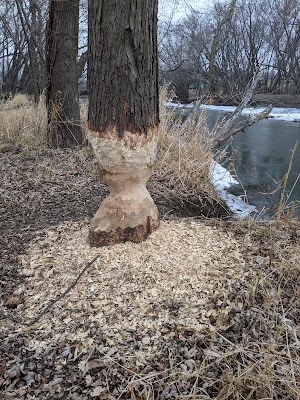 Sycamore Trails - photo 2