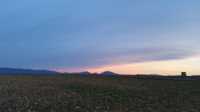la croupatassière à Valensole