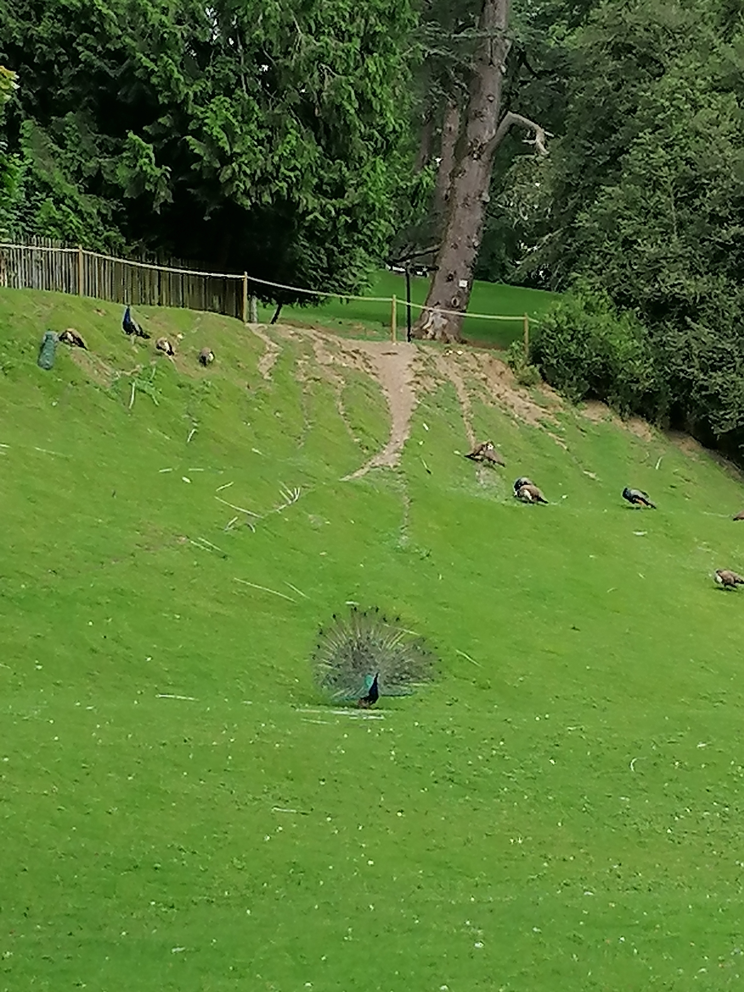 Photo n° 3 de l'avis de Amandine.e fait le 19/08/2021 à 13:40