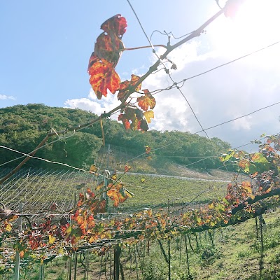 仲村わいん工房