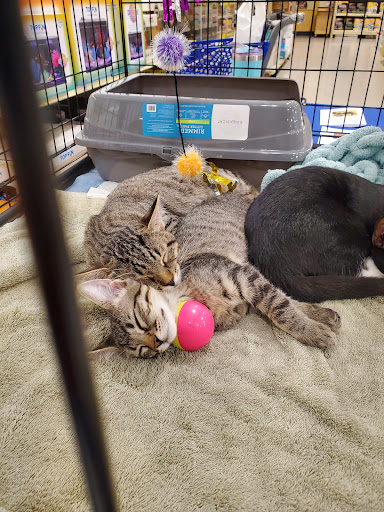 Pet Supply Store «PetSmart», reviews and photos, 2477 Naglee Rd, Tracy, CA 95304, USA