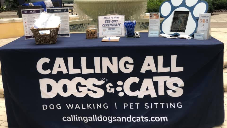 Calling All Dogs & Cats of St Pete