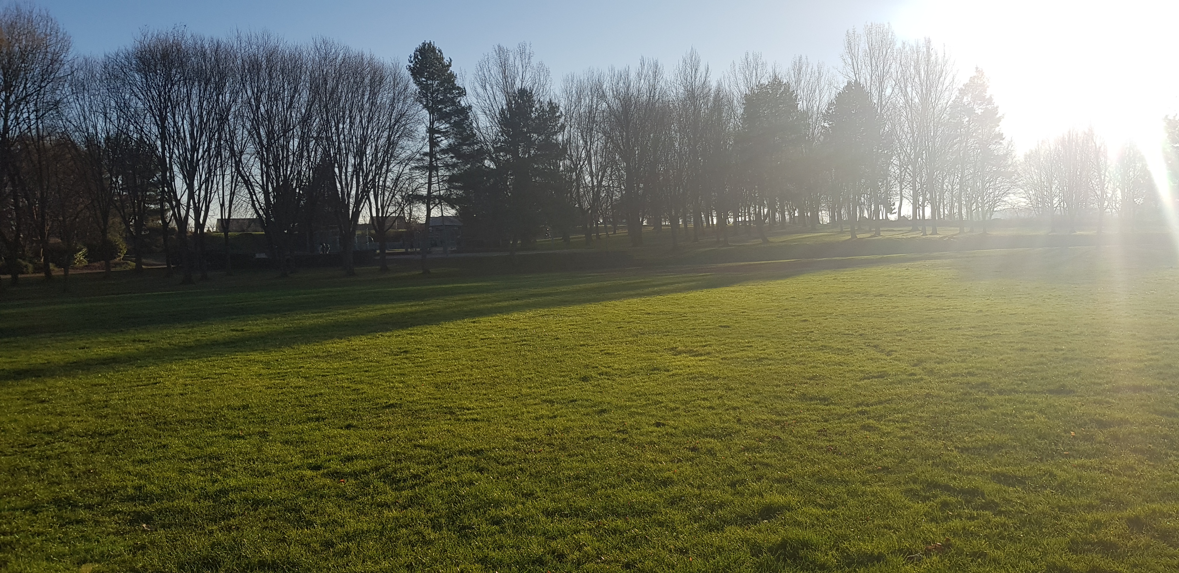 Photo n° 18 de l'avis de R.a fait le 30/12/2019 à 14:49