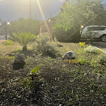 Photo n°4 de l'avis de Iael.i fait le 15/01/2022 à 11:25 sur le  La Biga Imperiale à Aprilia