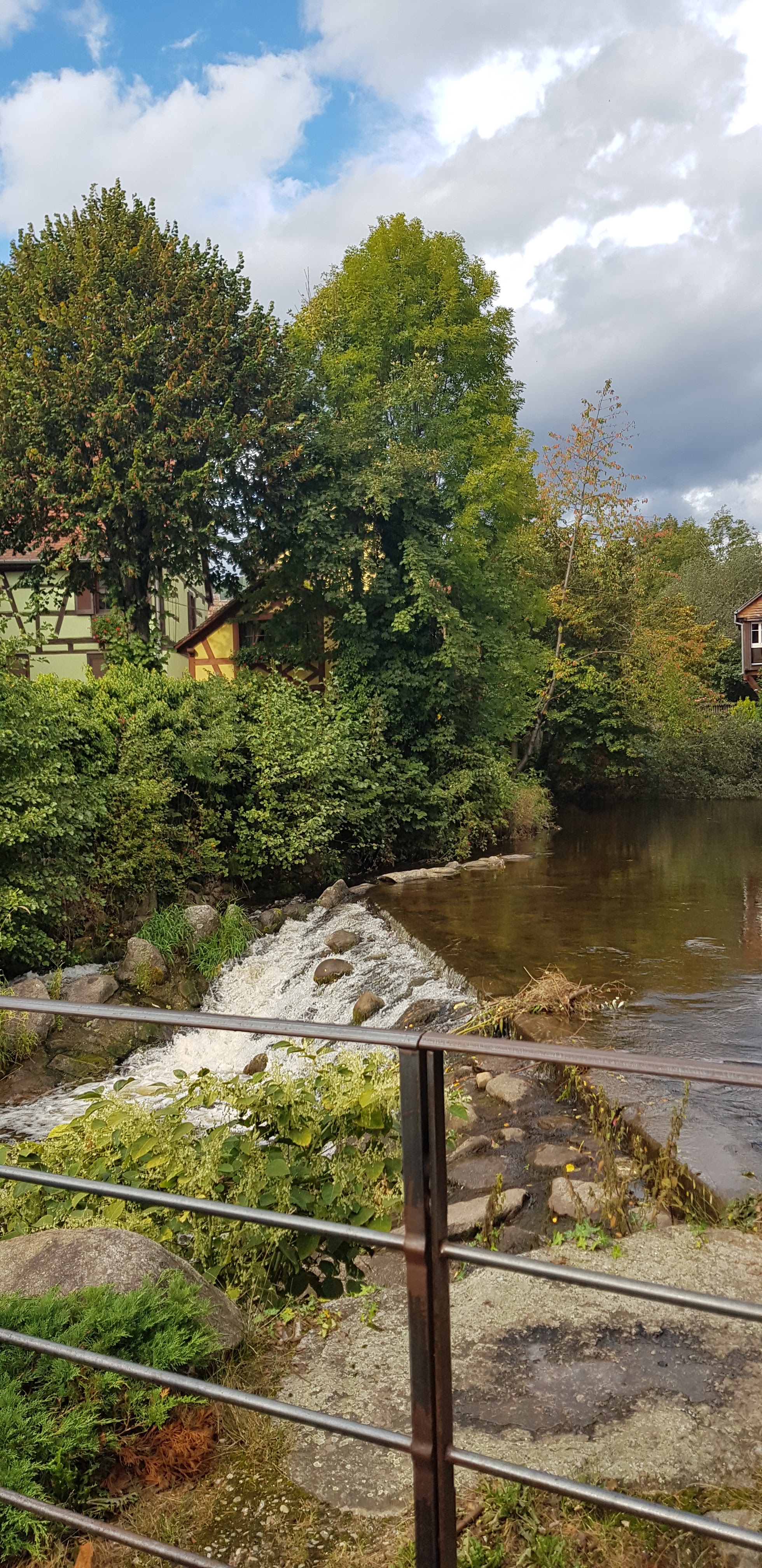 Photo n° 16 de l'avis de Nadine.a fait le 05/10/2021 à 15:20