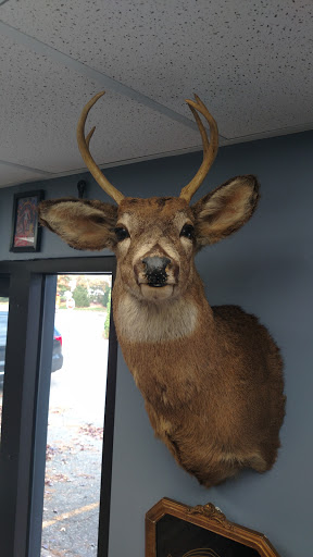 Tattoo Shop «Two Headed Dog Tattoo Studio», reviews and photos, 189 Changebridge Rd #3, Montville, NJ 07045, USA