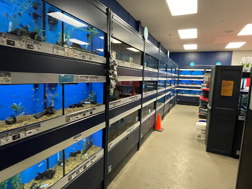 Pet Supply Store «Petco Animal Supplies», reviews and photos, 205 Goodman Rd W, Southaven, MS 38671, USA