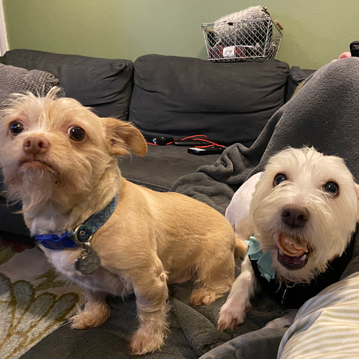 Commercial Printer «Minuteman Press of Gresham», reviews and photos, 1200 NE 8th St, Gresham, OR 97030, USA