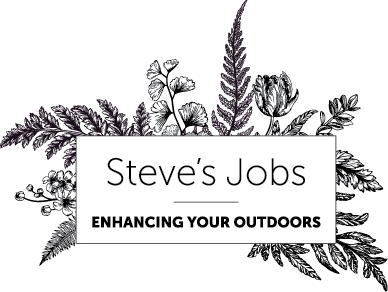 Steve's Jobs