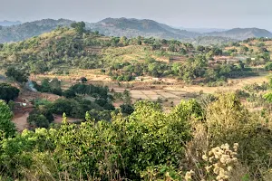 Jawadhu Hills image