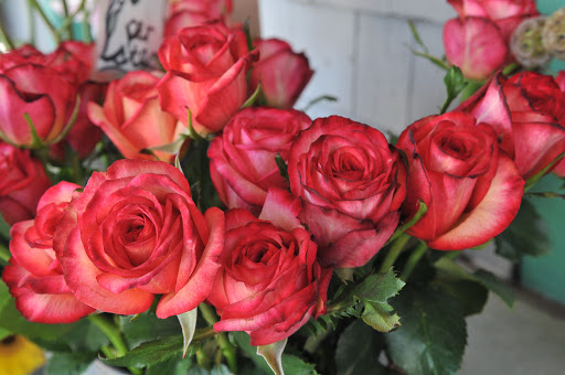 Florist «The Flower Shack», reviews and photos, 614 S Branciforte Ave, Santa Cruz, CA 95062, USA