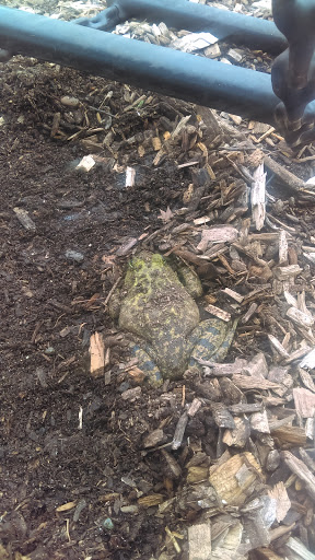 Park «Green Branch Park», reviews and photos, 299 Upper Neck Road, Elmer, NJ 08318, USA