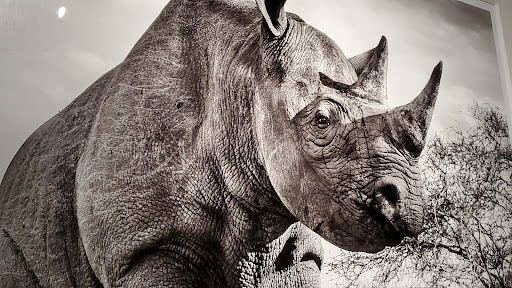 Aquarium «Wonders Of Wildlife National Museum & Aquarium», reviews and photos, 500 W Sunshine St, Springfield, MO 65807, USA