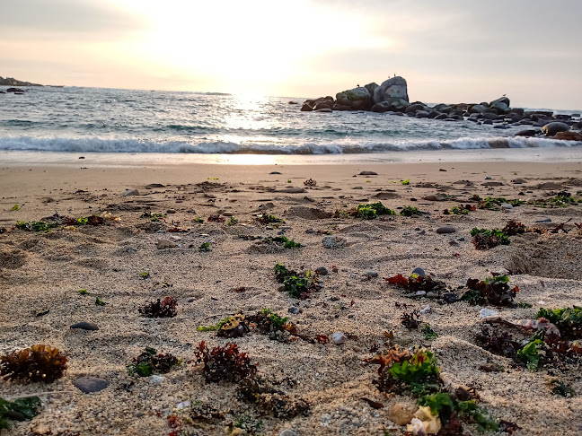 Horarios de Caleta El Papagallo