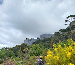 Newlands Forest Hiking Trail photo