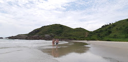 Foto av Miguel Beach vildmarksområde