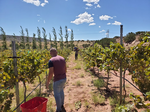 Desert Rock Winery & Distillery