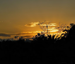 Ignacio Zaragoza Park photo