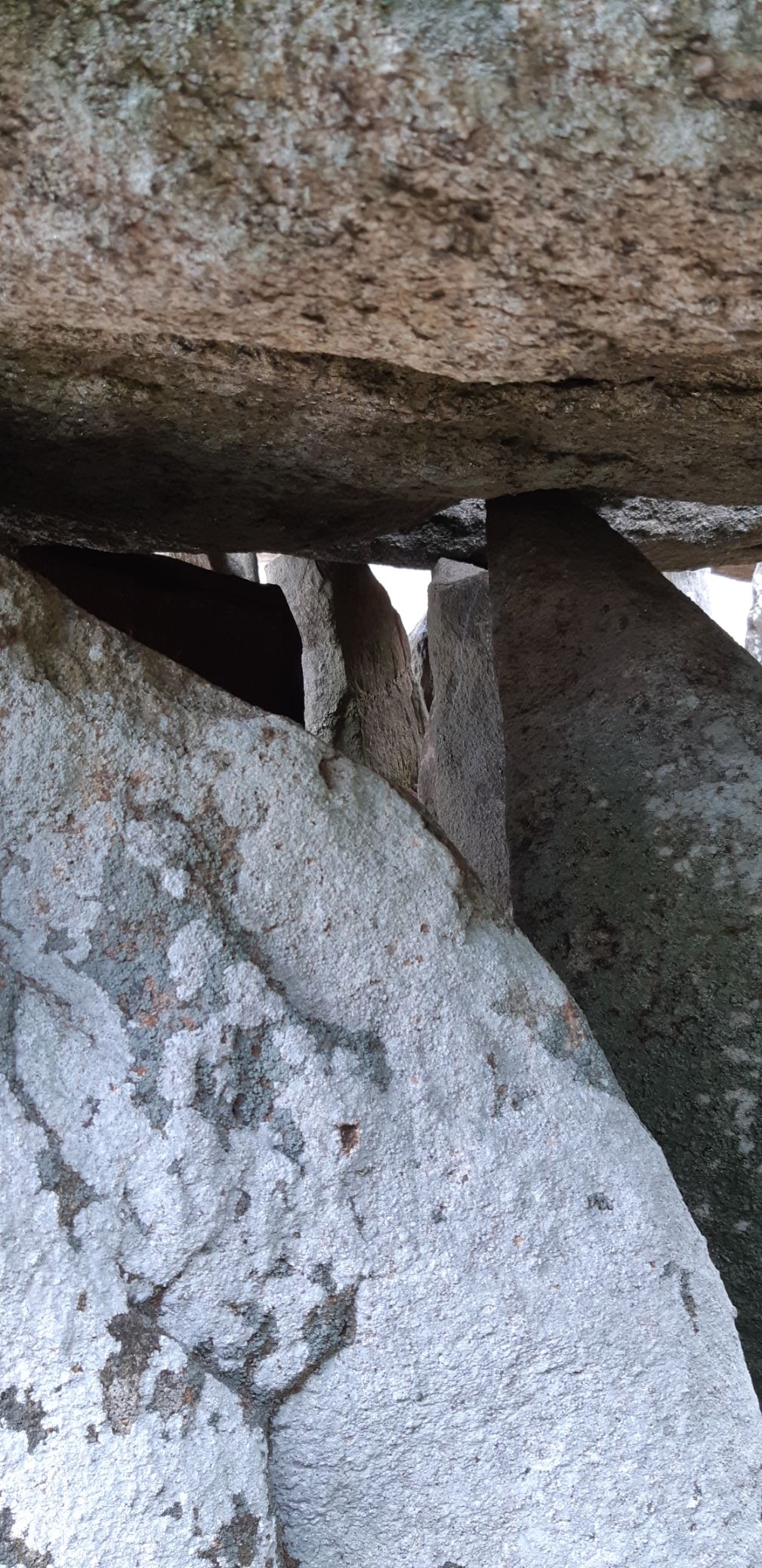 Photo n° 1 de l'avis de anaël.E fait le 23/08/2020 à 14:16