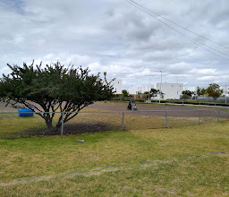 Plaza de los perritos photo