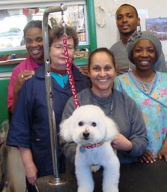 Pet Store «Animal Kingdom», reviews and photos, 436 Main St, East Orange, NJ 07018, USA