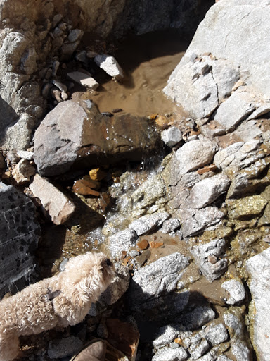 Grocery Store «Associated Food Stores», reviews and photos, 5632 900 E, Salt Lake City, UT 84121, USA