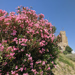 Photo n°4 de l'avis de Vincenzo.r fait le 24/09/2020 à 16:51 sur le  Castello Federiciano di Roseto Capo Spulico à Borgata Marina