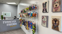 Furrever Friends Pet Boutique & Grooming Salon - Manlius - Photo 5 - Car repair in Manlius, NY, Syracuse