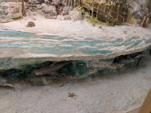 Science Museum «Orlando Science Center», reviews and photos, 777 E Princeton St, Orlando, FL 32803, USA