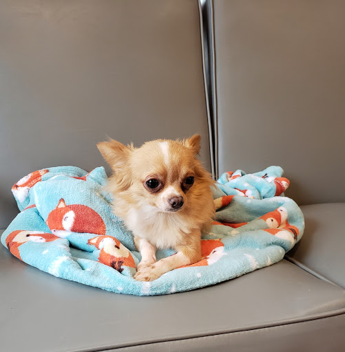 Frazier Animal Hospital image