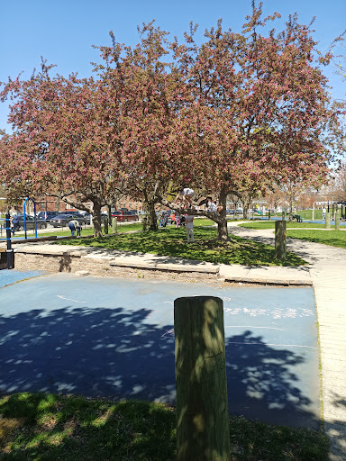 Park «Joe Moakley Park», reviews and photos, 1005 Columbia Road, Boston, MA 02127, USA