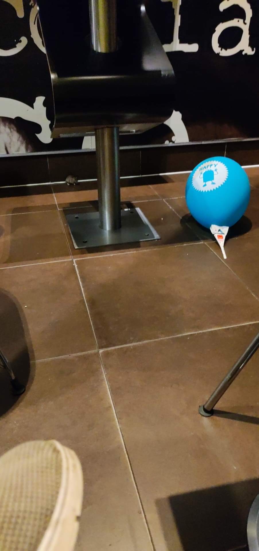 Photo n° 1 de l'avis de Pedro.u fait le 18/02/2022 à 22:45