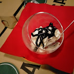 Photo n°5 de l'avis de Irene.a fait le 22/10/2022 à 18:53 sur le  Salamanca BirrOsteria à Ferrara