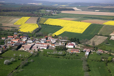 Bouin Eric à Mentque-Nortbécourt