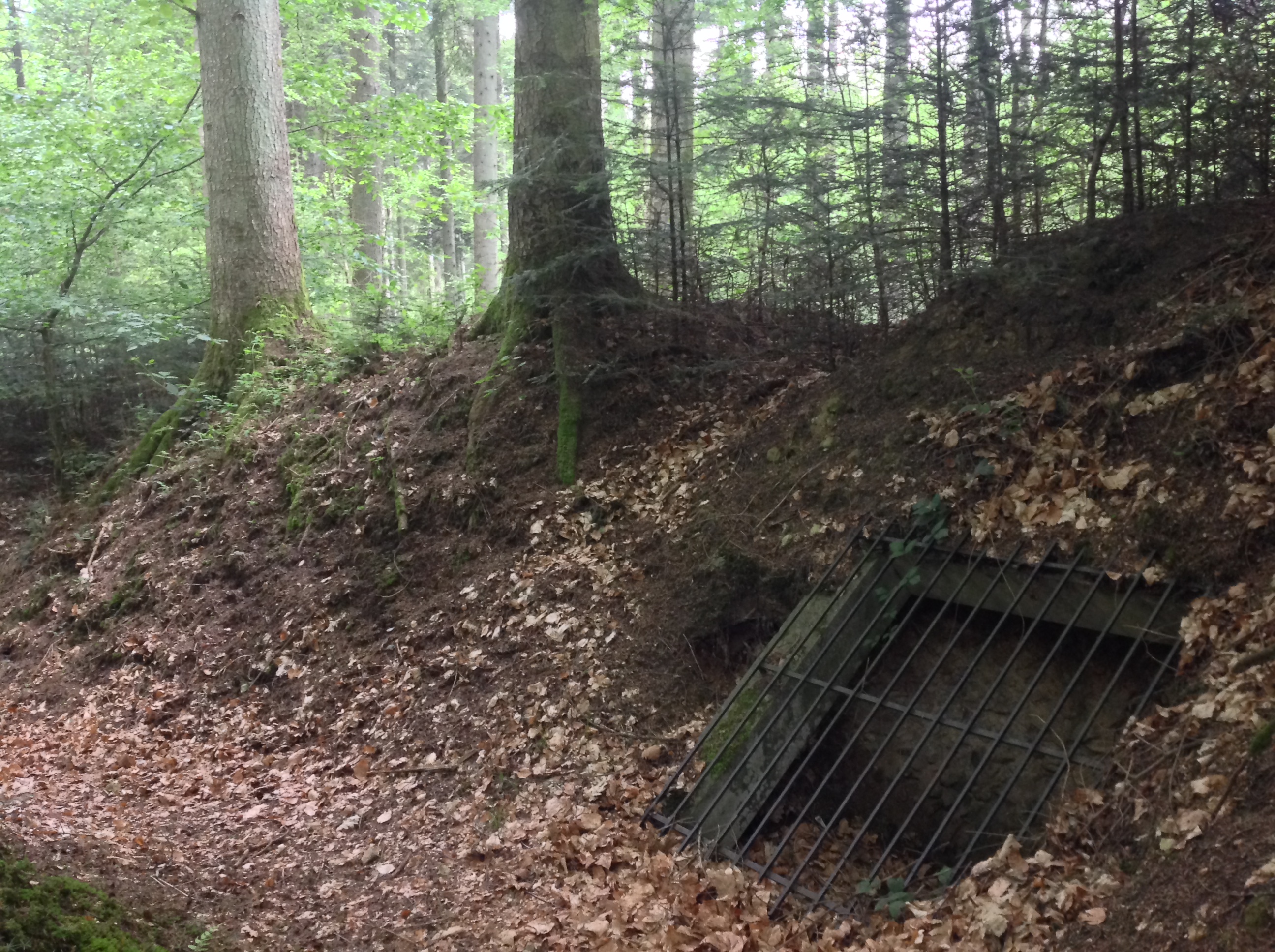 Photo n° 6 de l'avis de David.O fait le 21/05/2019 à 19:07